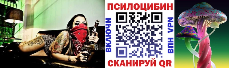 Псилоцибиновые грибы мицелий  Тулун 