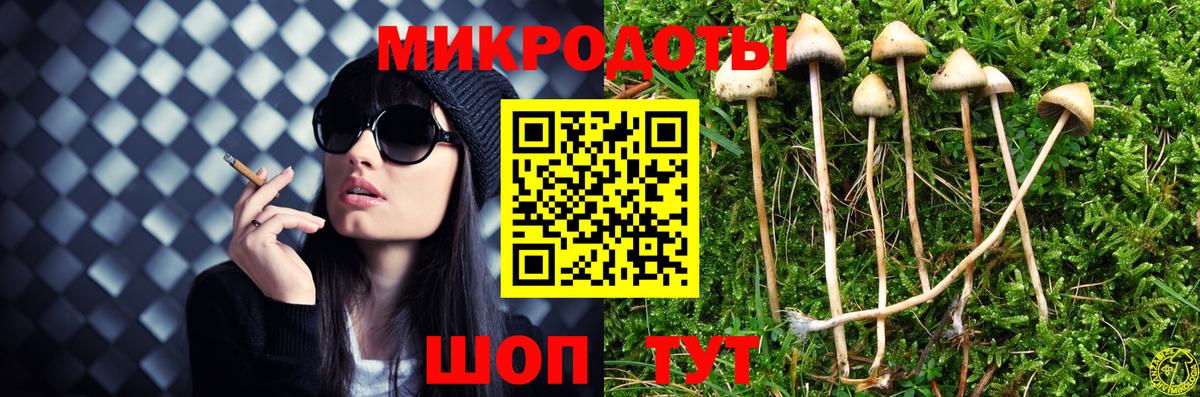 Псилоцибиновые грибы ЛСД Тулун
