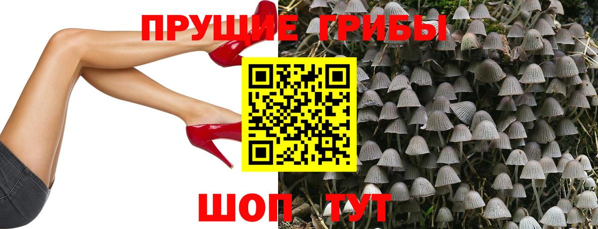 A-PVP Тулун