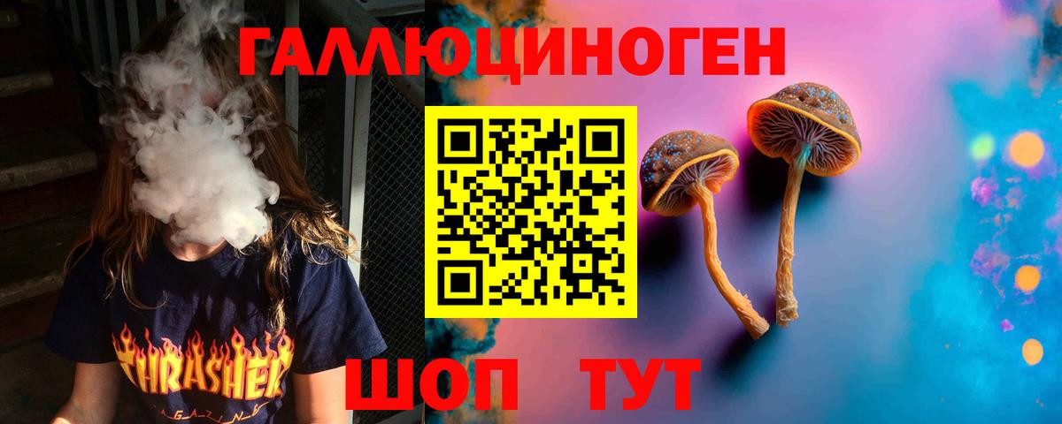 Галлюциногенные грибы мицелий  Псилоцибиновые грибы Psilocybine cubensis  Тулун  Вход с VPN 